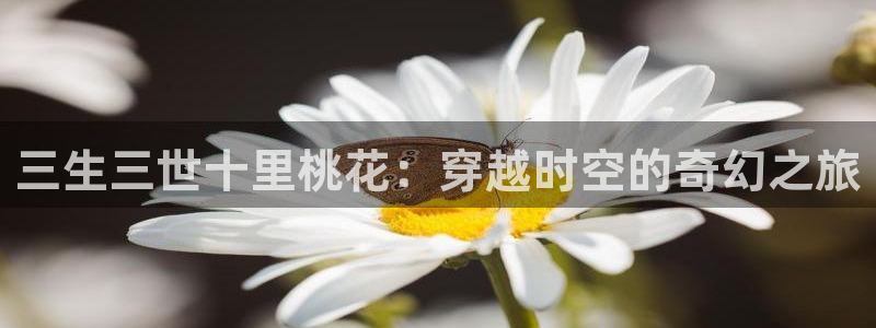六漫画好看的热门漫画官网